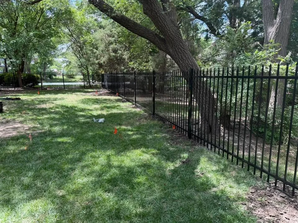Black ornamental iron fence with vertical pickets installed around mature trees and grass lawn