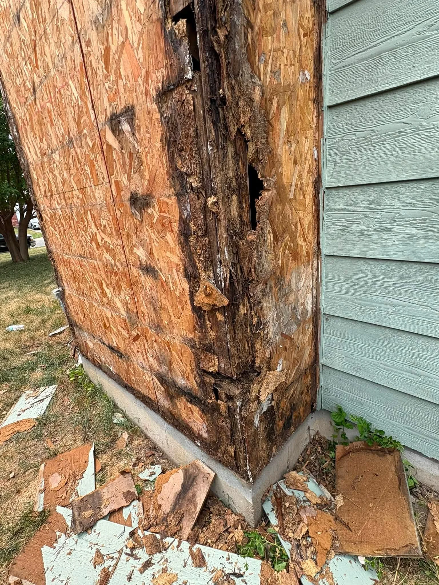 Rotted wooden post with decay cavities and structural damage near concrete foundation