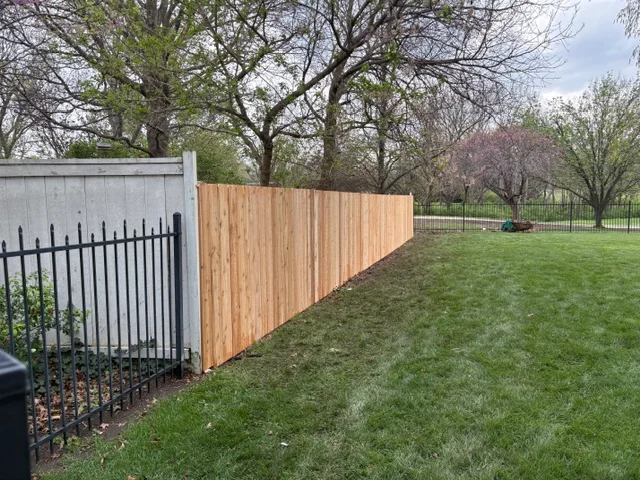 Black aluminum picket fence transitioning to cedar wood privacy fence panels in residential yard