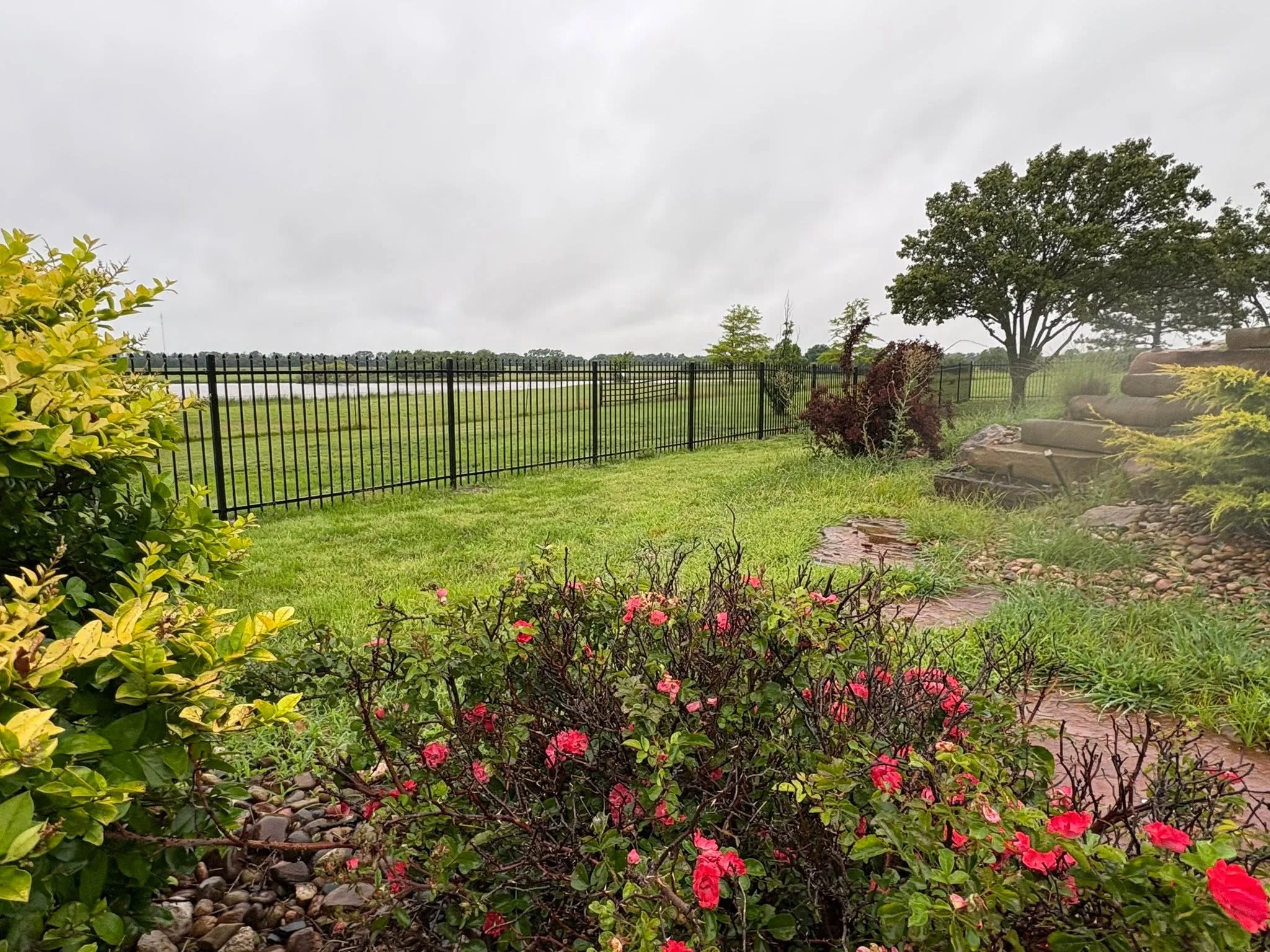 Black ornamental iron fence with decorative pickets installed along property line with landscaping